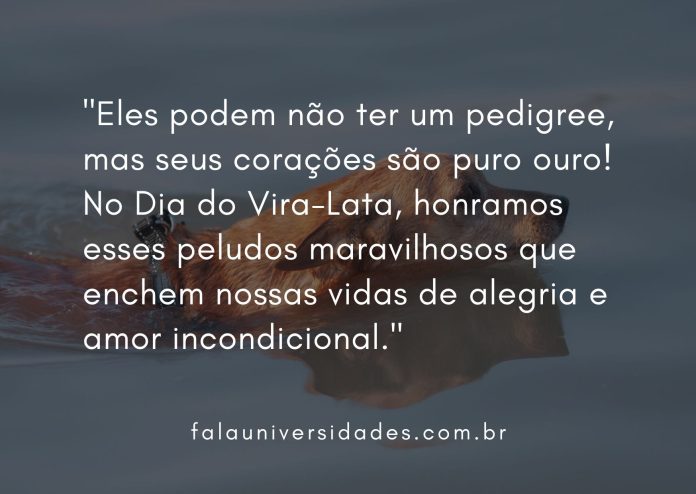 Dia Do Vira Lata Veja 5 Mensagens Para Comemorar