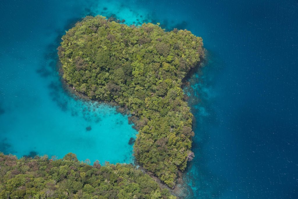 Palau é o arquipélago perfeito para suas férias de verão. 