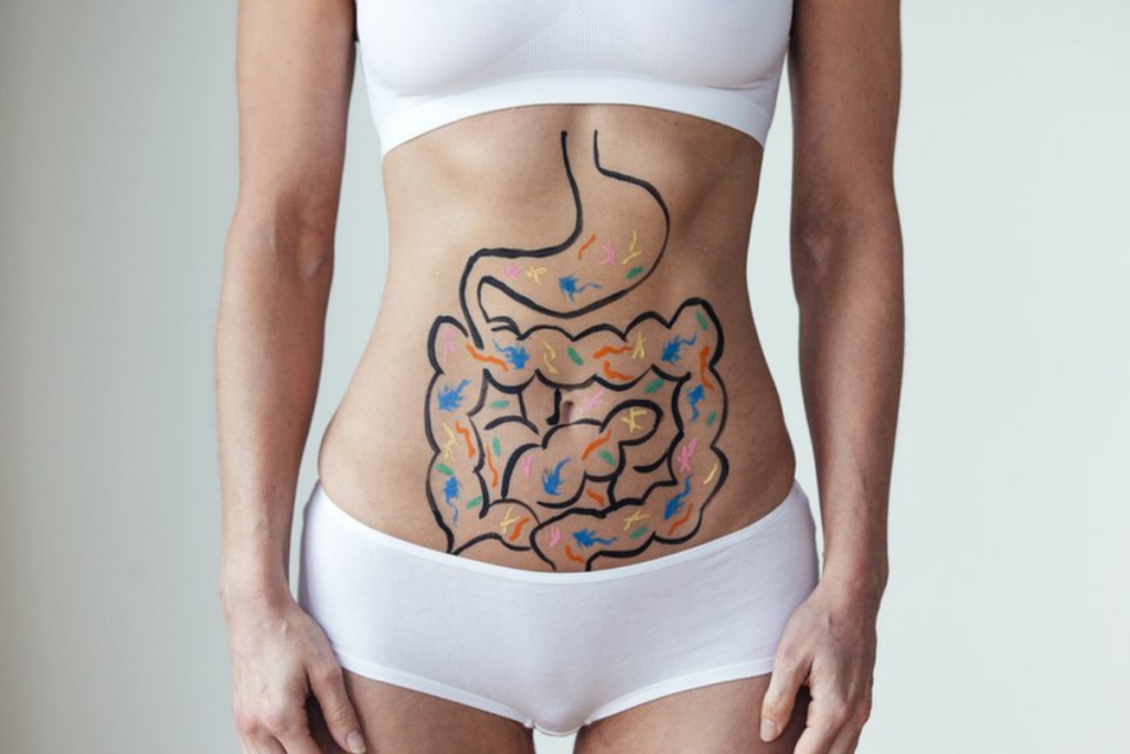 Conheça os principais sinais de que a saúde de seu intestino pode estar prejudicada.