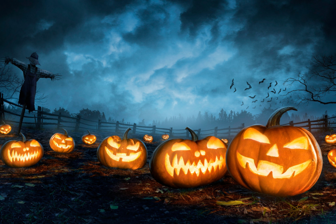 Halloween: Como surgiu a comemoração do Dia das Bruxas - Fala ...