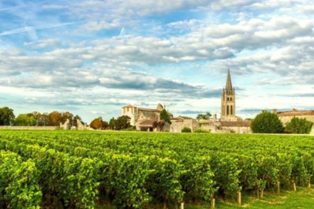 Bordeaux é conhecida por ser a capital do vinho.