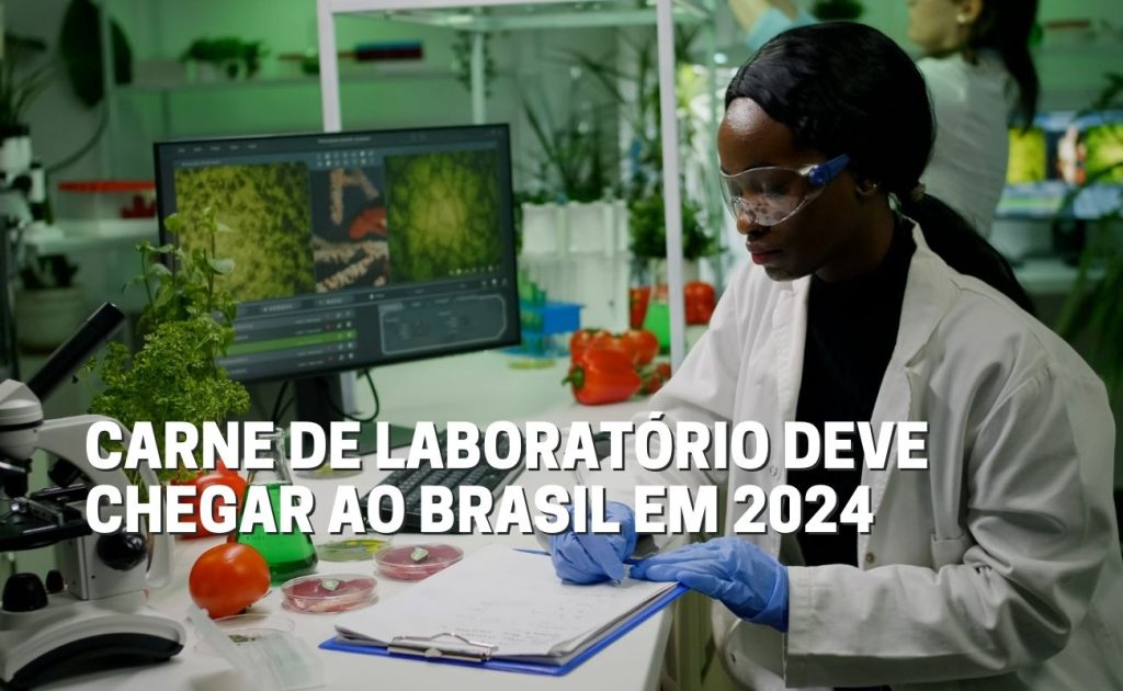 Carne cultivada em laboratório deve chegar ao Brasil no próximo ano