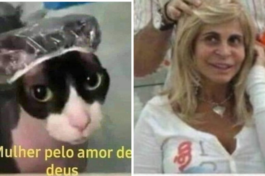 Sisu 2023 - memes