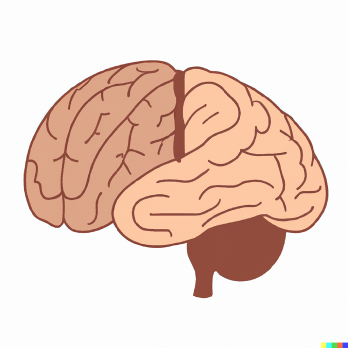 Síndrome do Intestino Irritável Síndrome do Intestino Irritável