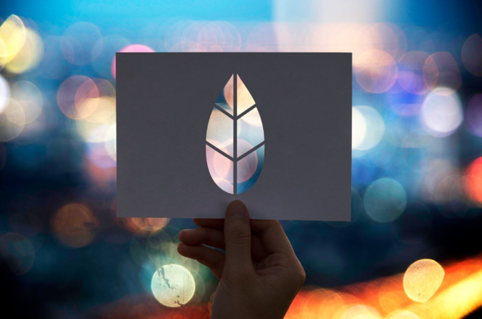 folha recortada representando creditos de carbono