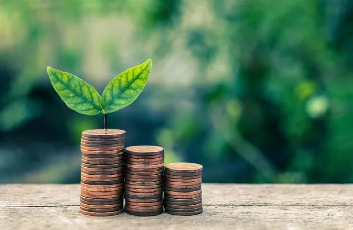 Saiba como funciona o crédito de carbono, um dos investimentos sustentáveis. | Foto: Freepik. Saiba como funciona o crédito de carbono, um dos investimentos sustentáveis. | Foto: Freepik.