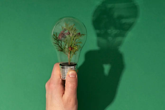 Mogno Africano: Uma Escolha Ecológica e Lucrativa Mogno Africano: Uma Escolha Ecológica e Lucrativa