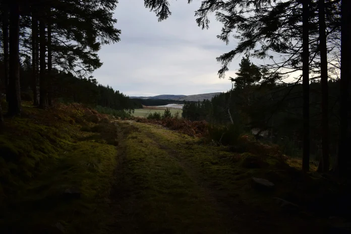 reflorestamento-técnicas-de-enriquecimento-de-solos-degradados reflorestamento-técnicas-de-enriquecimento-de-solos-degradados