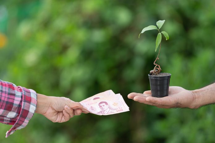 Modelagem Financeira Florestal Modelagem Financeira Florestal